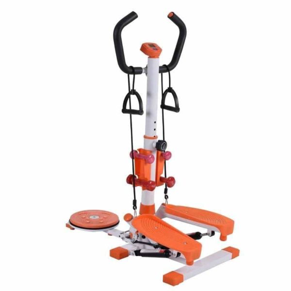 Standing Stepper with Twister and Dumb Bell